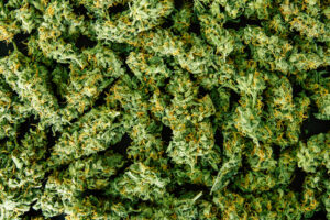 flower,buds,cannabis,background,,marijuana,,weed,top,view,copy,spase